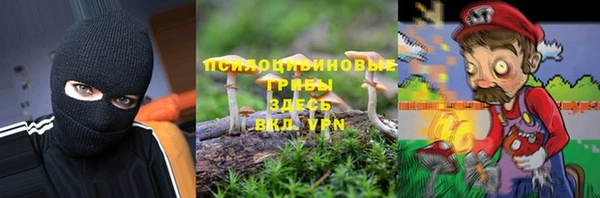 спиды Сосновоборск
