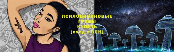 бошки Сосновка