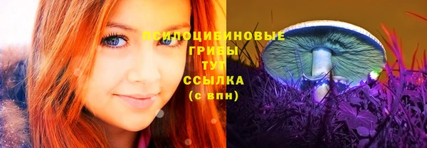 спиды Сосновоборск