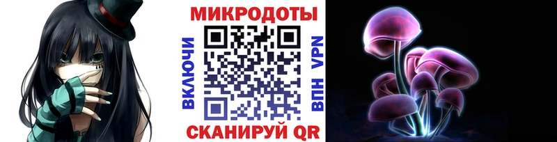 Псилоцибиновые грибы Psilocybe  где продают   Таруса 
